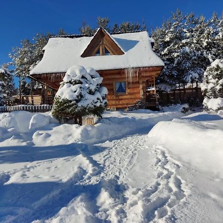 Domki Szwajnosówka Witów Exterior foto
